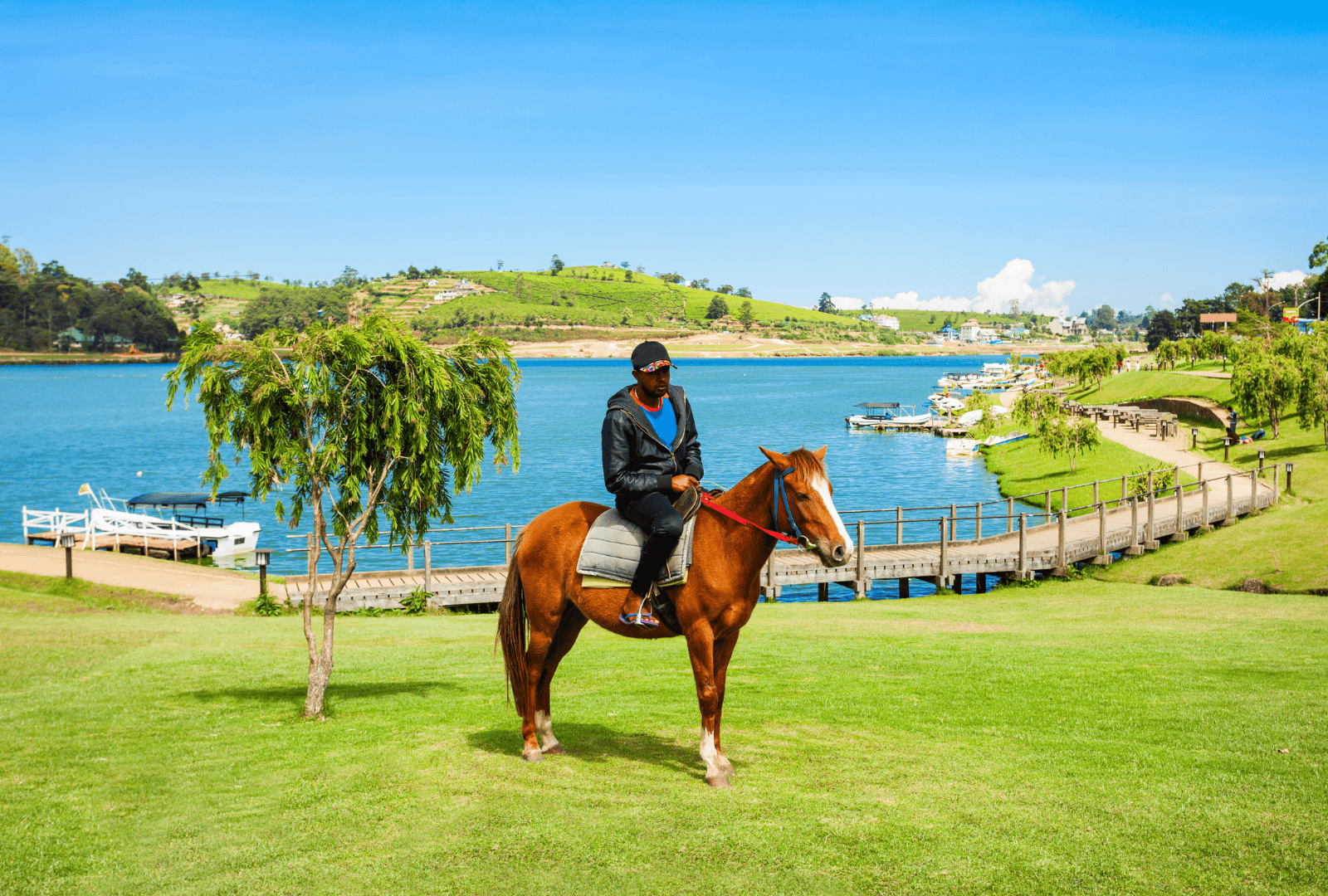 Hill Country Scenic Tour