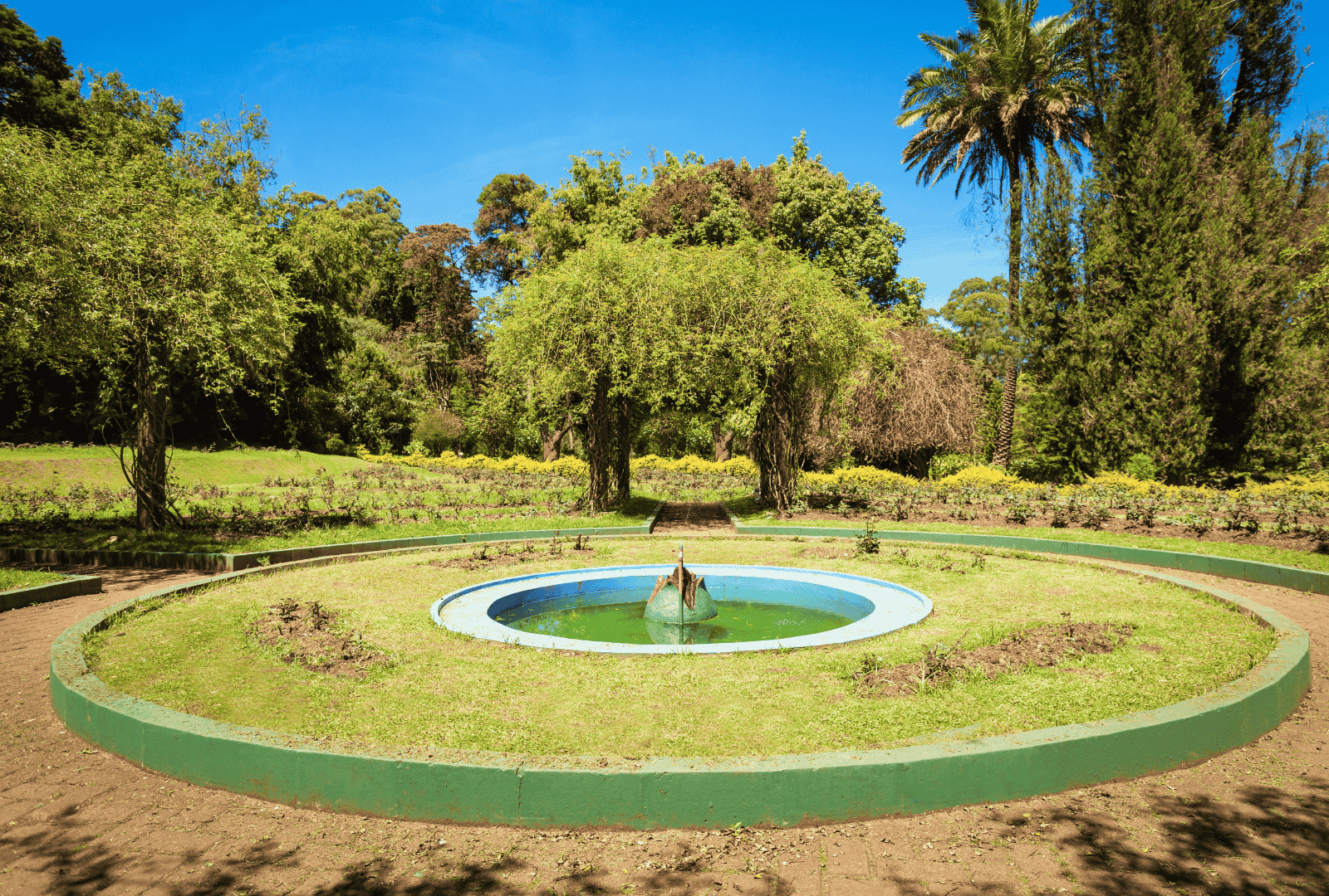 Untitled design - 2026-02-26T114953.504