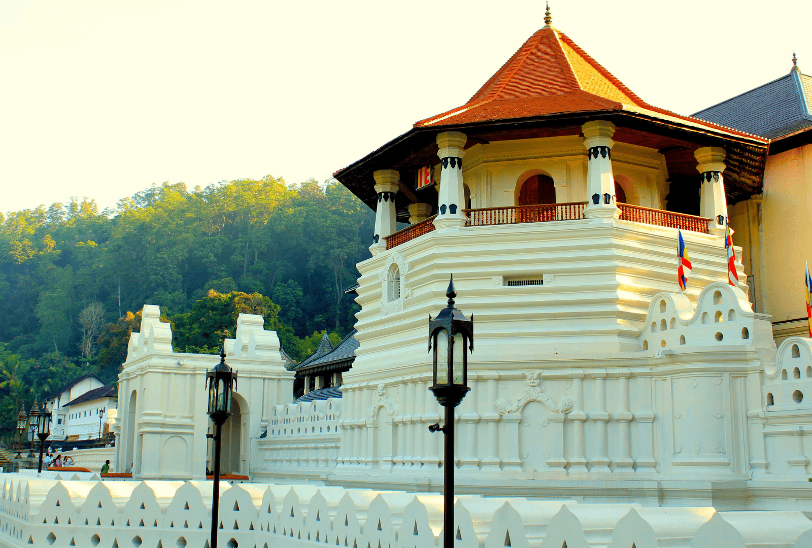 Untitled design - 2026-02-26T115044.162