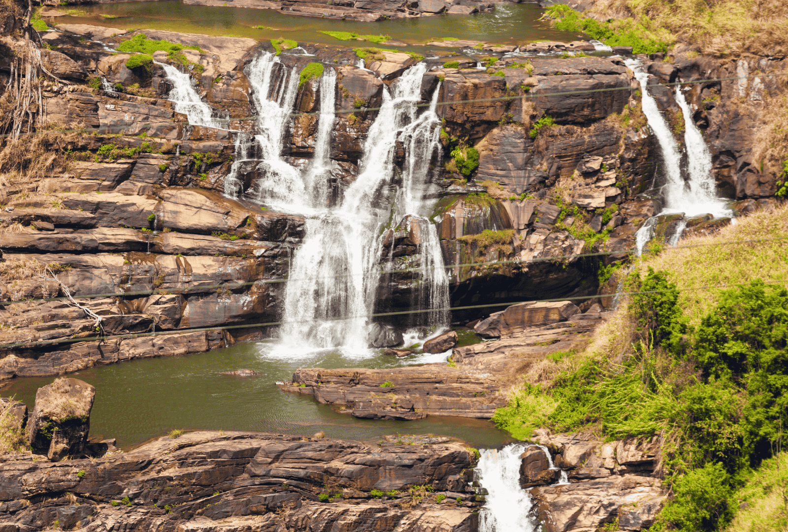 Untitled design - 2026-02-26T120025.323