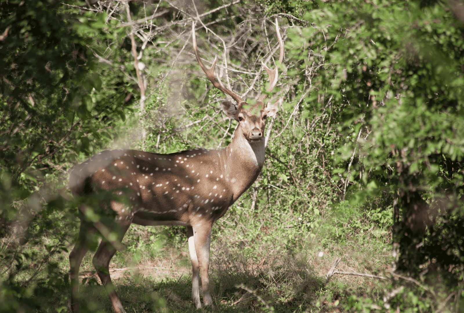 Untitled design - 2026-02-26T121900.675