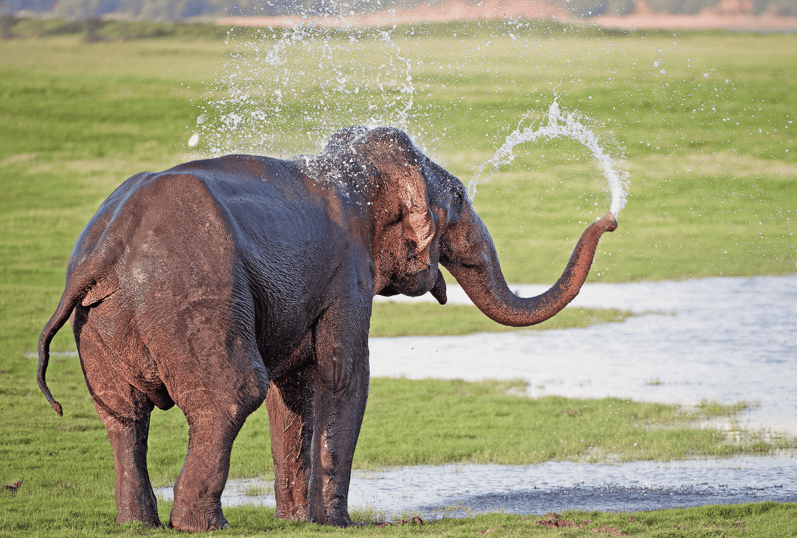 Untitled design - 2026-02-26T121948.703