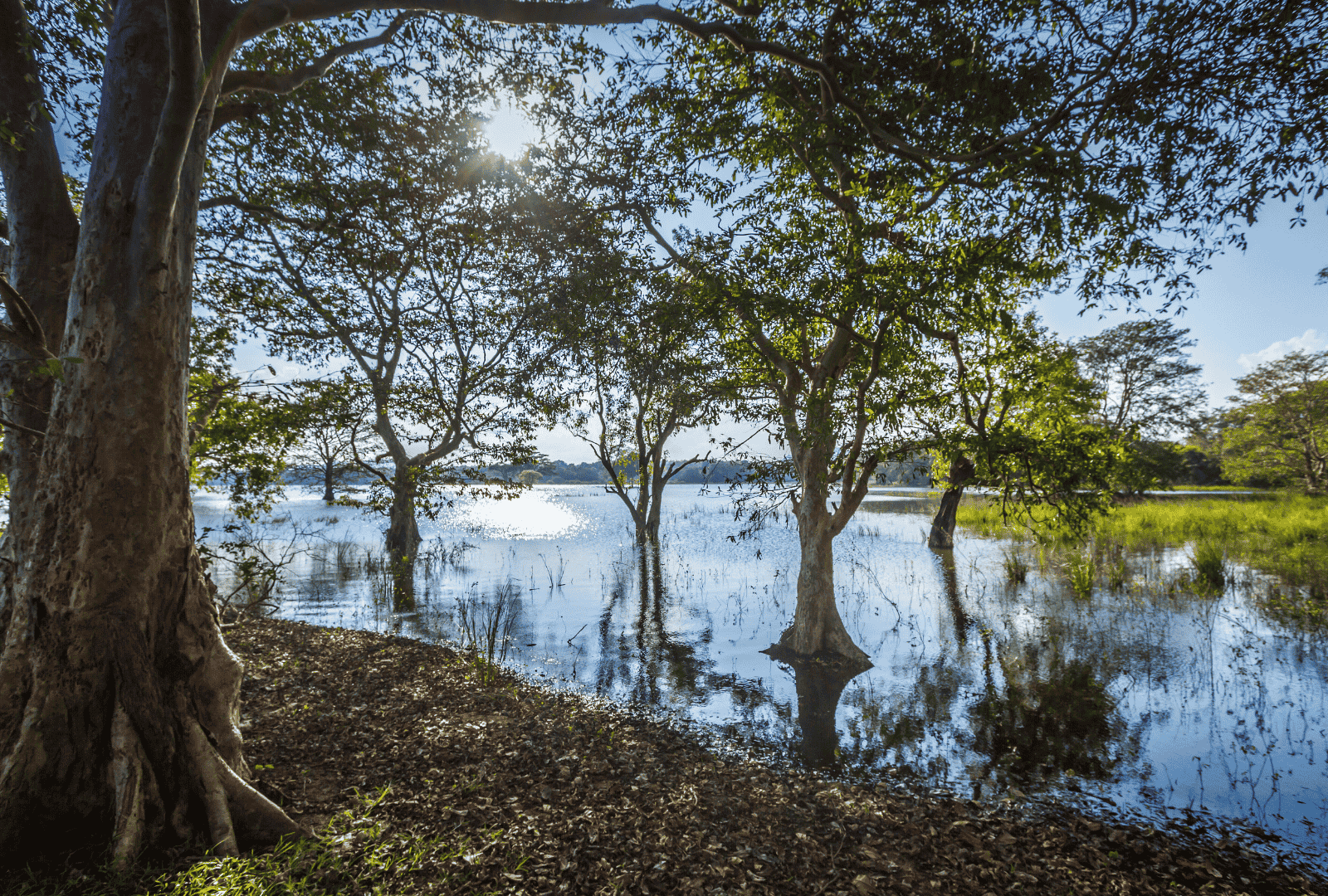 Untitled design - 2026-02-26T122008.581